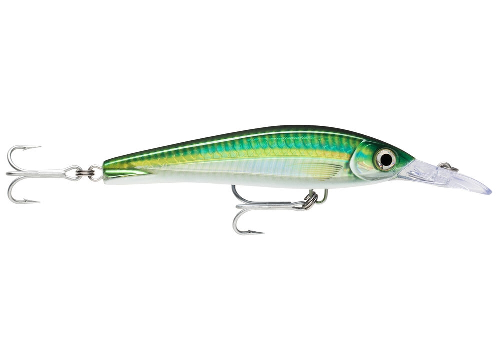 Rapala X-Rap® Magnum Xtreme 16 artificiale da traina : Colore - HDBSCD
