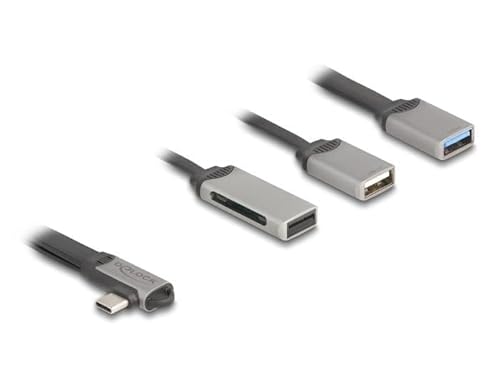 Delock 2 Porte Usb Hub Inklusive Sd E Micro Sd Card Reader
