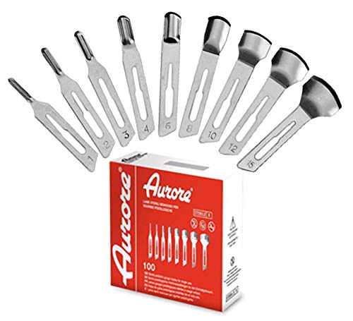 100 Lame Sgorbia Bisturi Da Ricambio Manicure E Pedicure Aurore Professionale Estetista (N° 10)