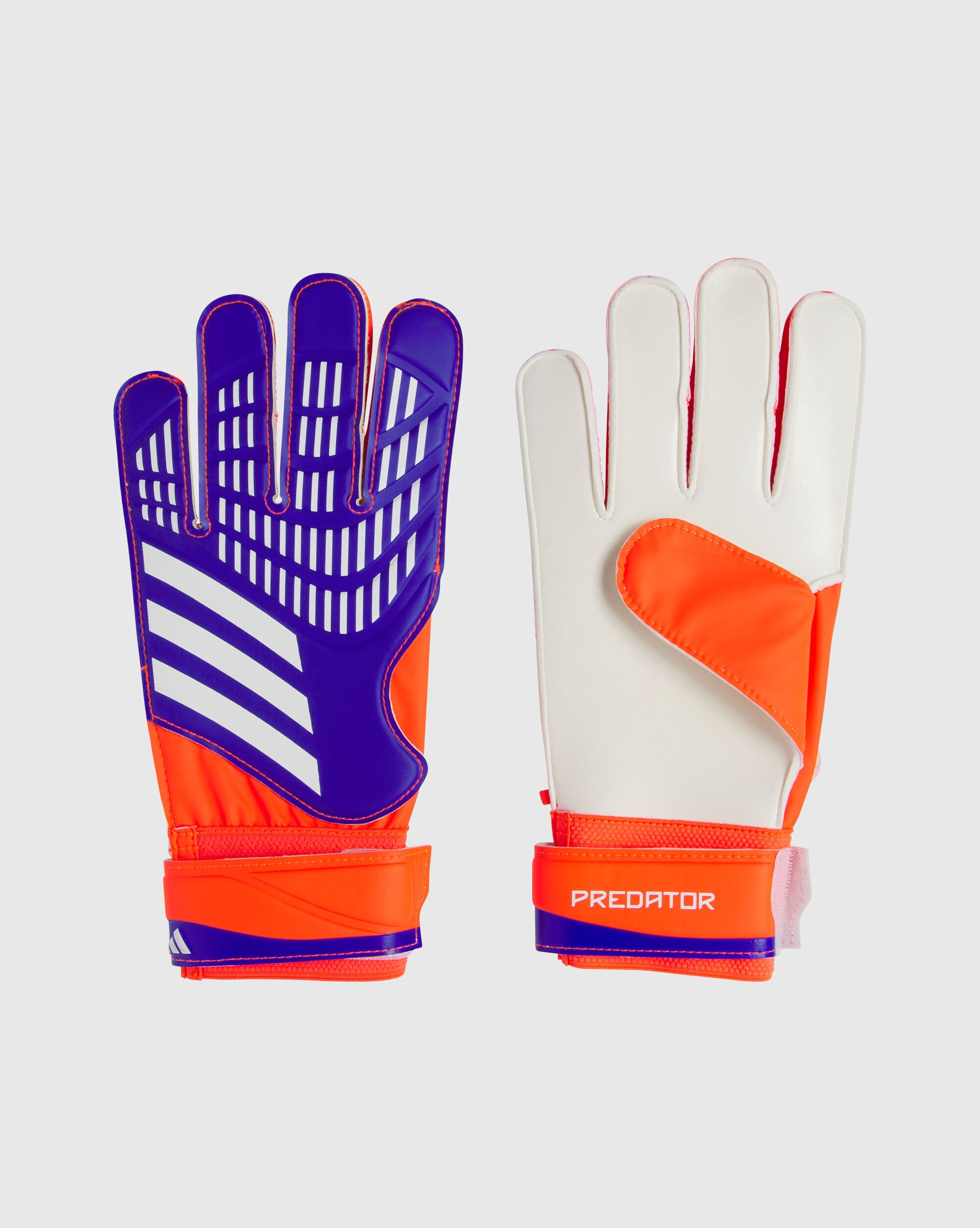 Guanti da portiere Predator Training Blu Uomo