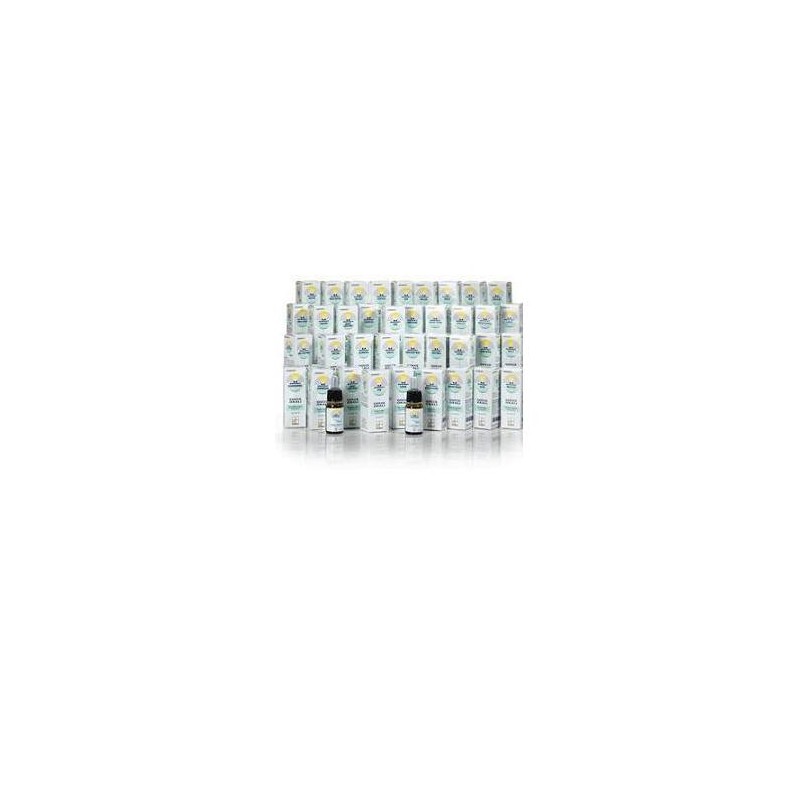 NAMED - Nomabit Pine Gl 6g