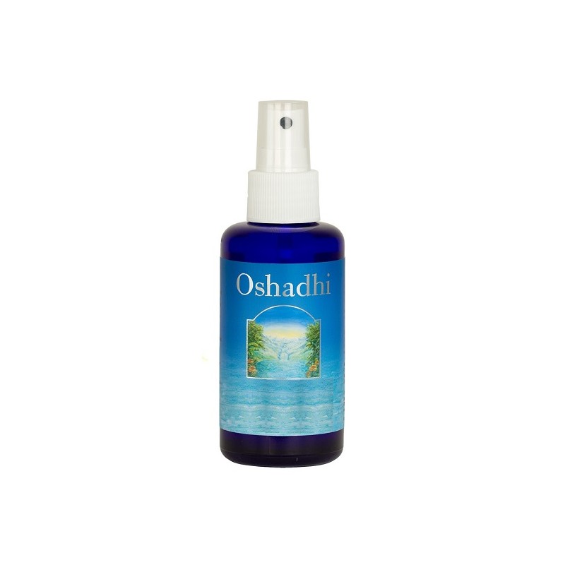 Ayus Gmbh - Ayus Gmbh Aloe Vera Gel Aloe Vera Barbadensis Extract Gel 100 Ml