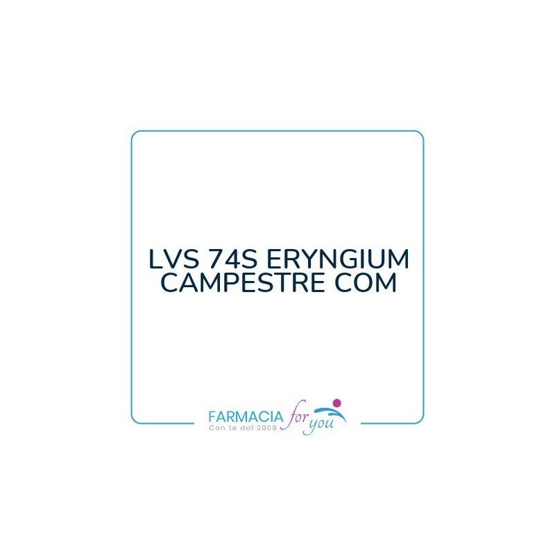 Labor Villa Stoddard srl - LVS 74S ERYNGIUM CAMPESTRE COM