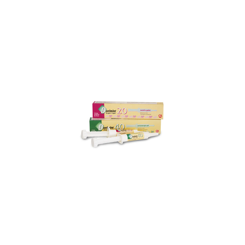 Ati srl (Azienda Terap.Ital.) - DUELMINT 20*ROSA SIR 15ML