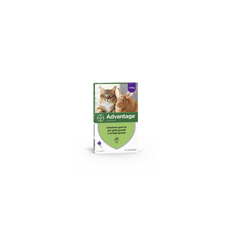 Bayer spa (Div.Sanita'animale) - Advantage4pip 0,8ml Spot-on
