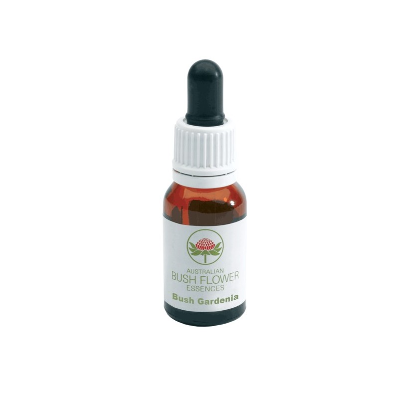 Bush Biotherapies Pty ltd - Bush Gardenia Gocce 15ml