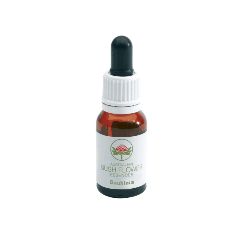 Bush Biotherapies Pty ltd - Bauhinia Gocce 15ml