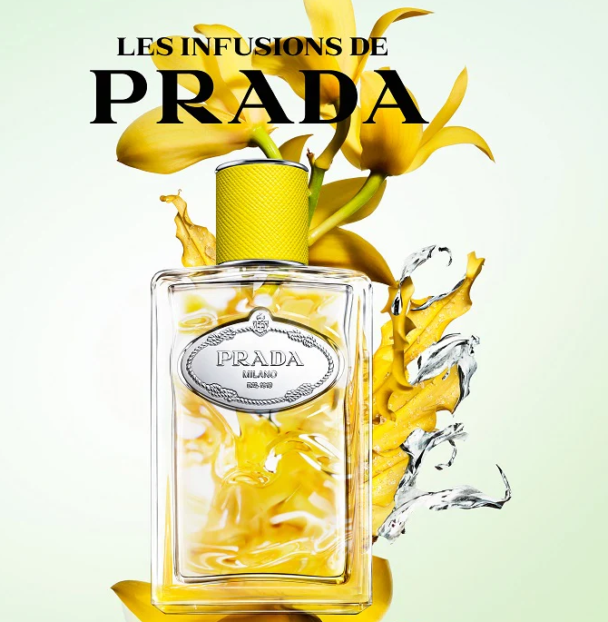 Prada Infusion d'Ylang Profumo donna  Fragranza Solare e lussureggiante