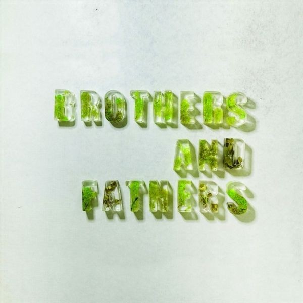 Desmond Myers Brothers & Fathers//Hydrangeas (Vinyl LP)