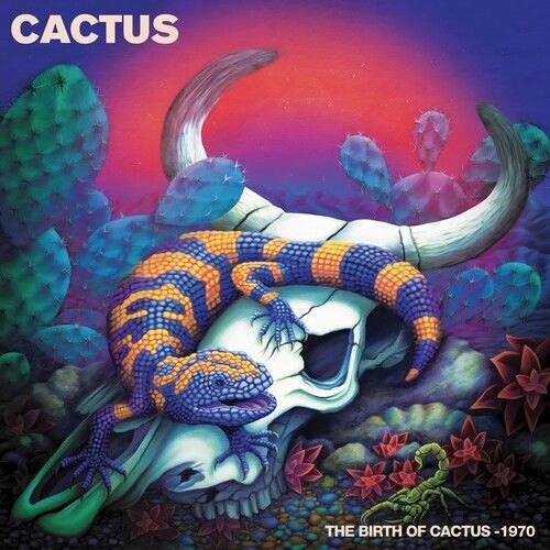 Vinile Nuovo - Cactus - Birth Of Cactus - 1970  - Purple Pyramid