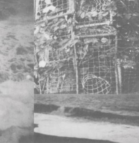 PROCESSES & INSTRUMENTS OF NORMAL PEOPLE (CLEAR VINYL) by Cremation Lily