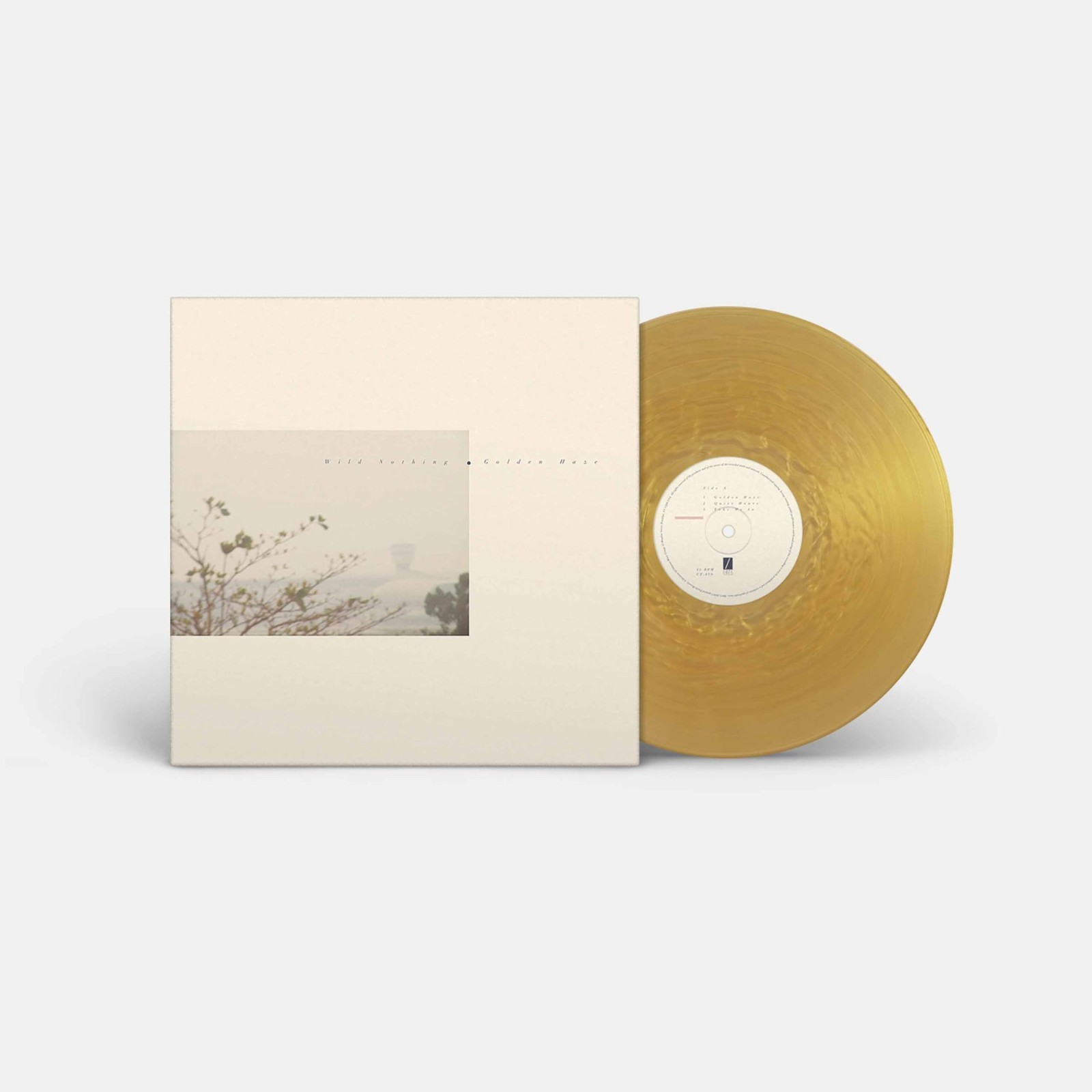 Wild Nothing Golden Haze - Golden Haze (Vinyl LP)