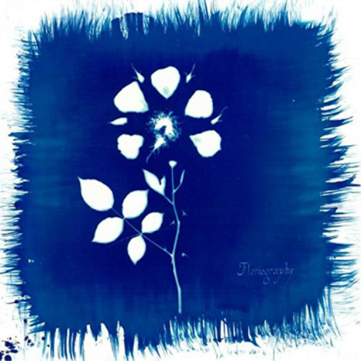 Painted Zeros Floriography (Vinyl LP) 12" Album
