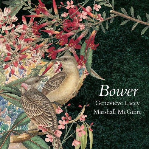 BOWER - MUSIC FOR RECORDER & HARP