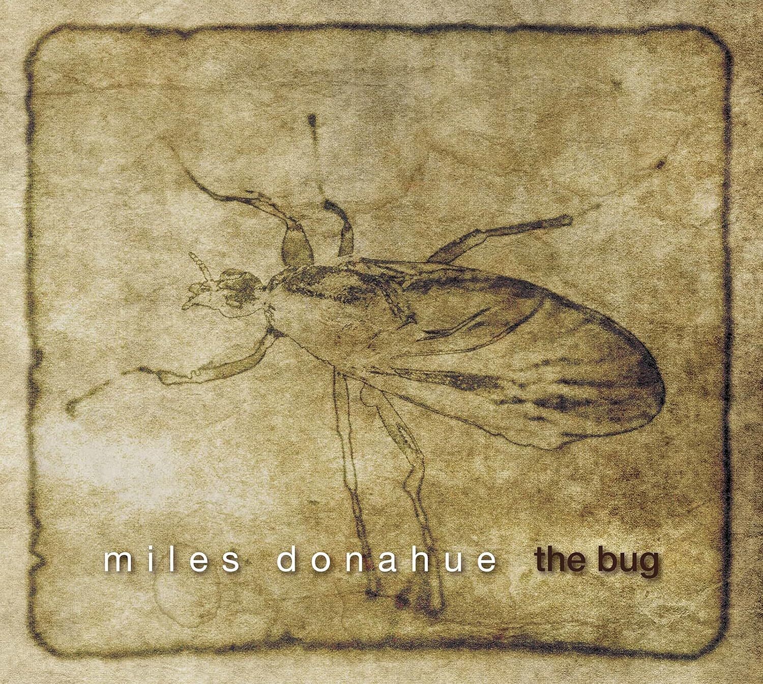 Miles Donahue The bug (CD) Album