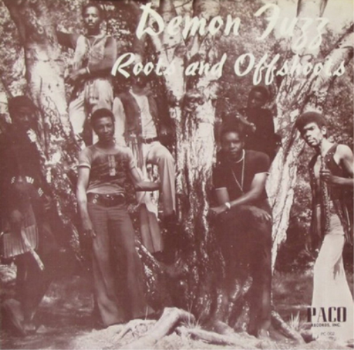 Demon Fuzz Roots and Offshoots (Vinyl LP) 12" Album