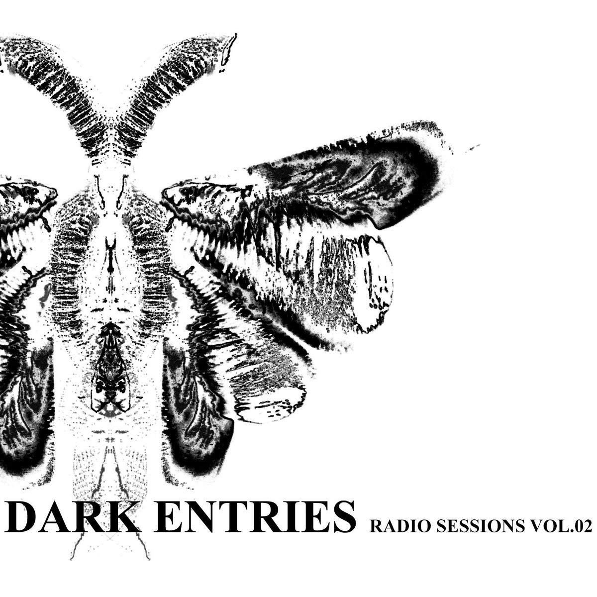 Various Dark Entries Radio Sessions Vol. 02 (CD)