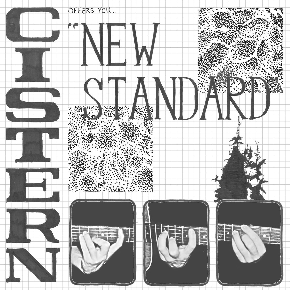 Cistern New Standard (Vinyl LP) 12" Album