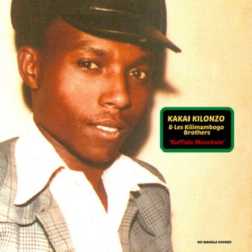 Buffalo Mountain by Kakai Kilonzo & Les Kilimambogo Brothers