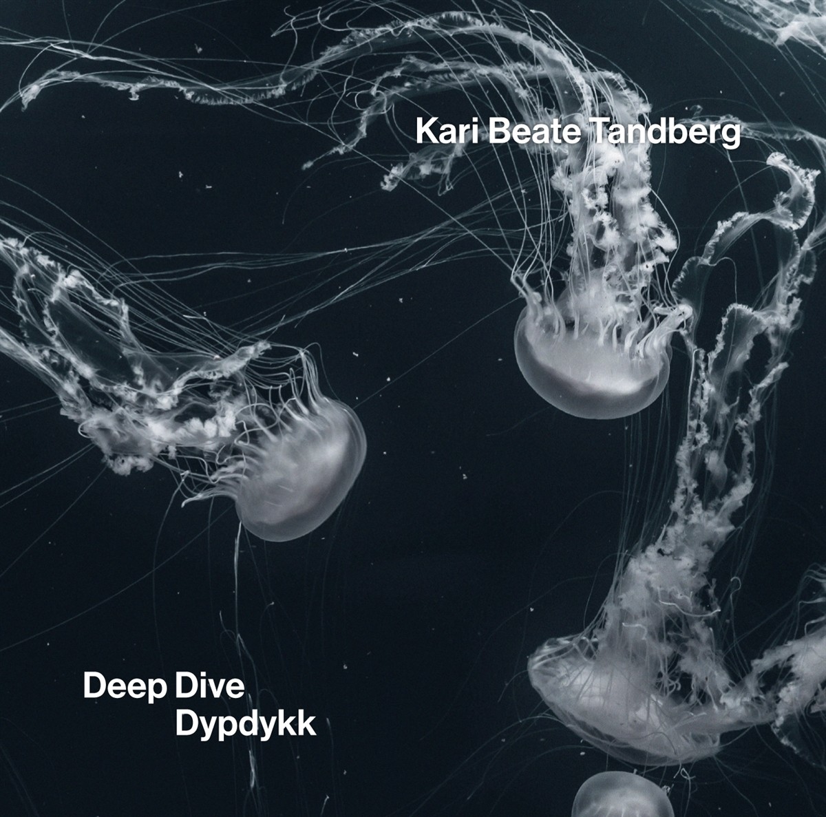 Kari Beate Tandberg Kari Beate Tandberg: Deep Dive/Dypdykk (CD) Album