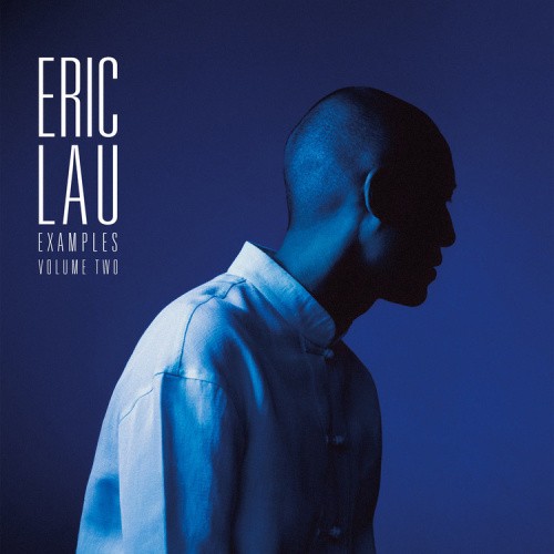 Examples - Volume 2 by Eric Lau