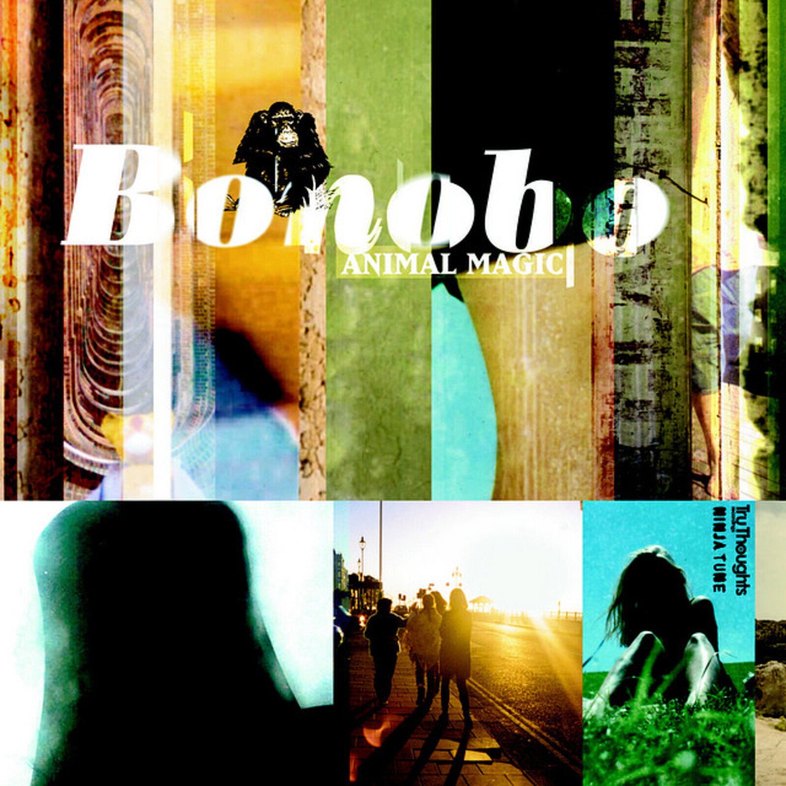 Bonobo Animal Magic (Cassette)