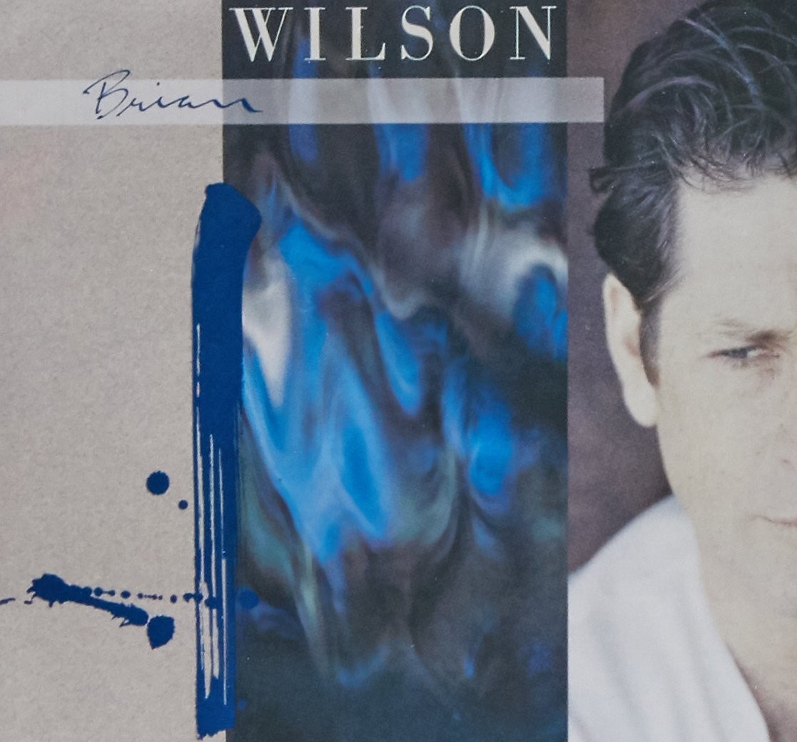 Brian Wilson Brian Wilson Hidden Track (CD)