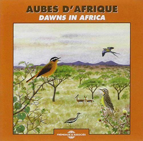 Aubes D'Afrique: Dawns in Africa (CD) Album