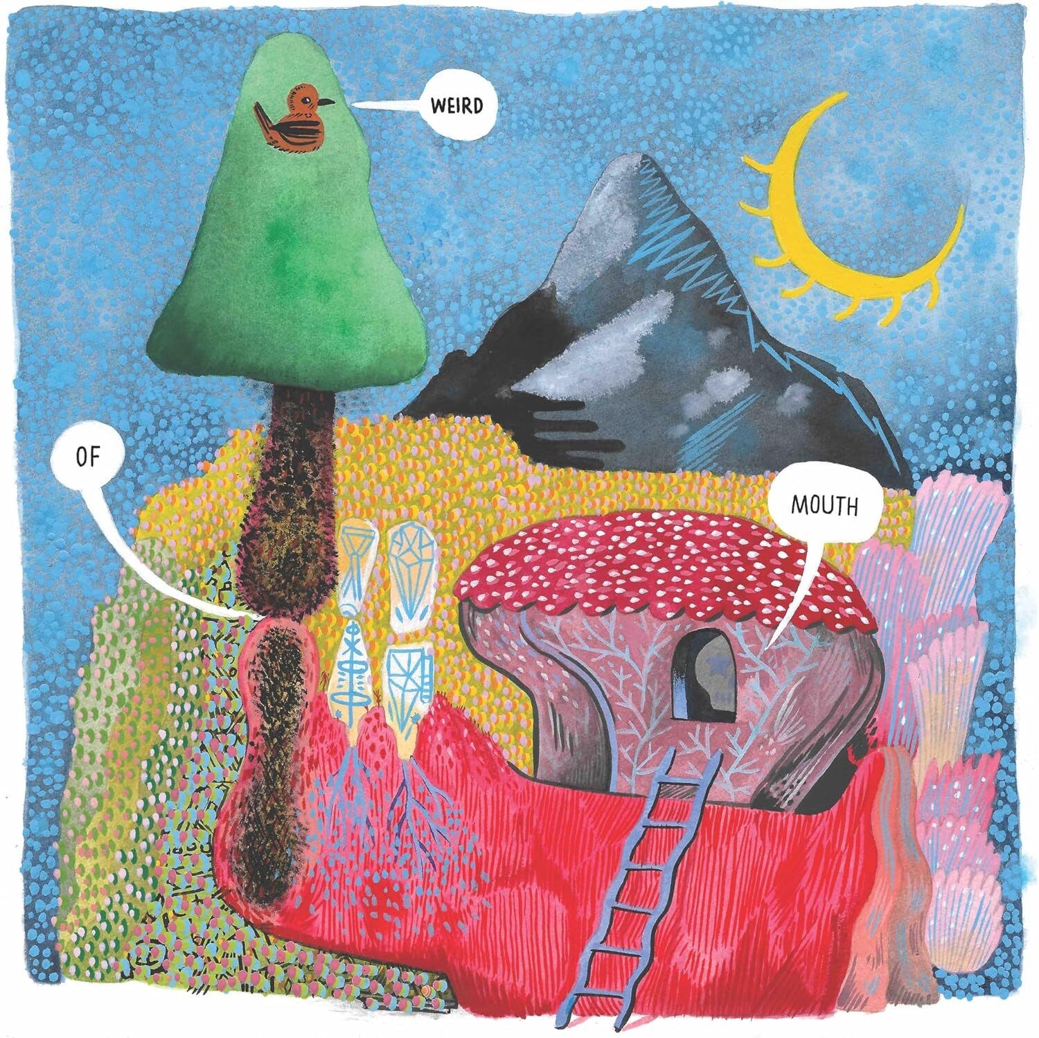 Weird of Mouth Weird of Mouth (Vinyl LP) 12" Album