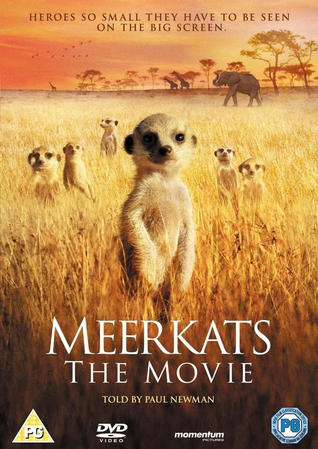 Dvd Meerkats - The Movie [Edizione: Regno Unito]