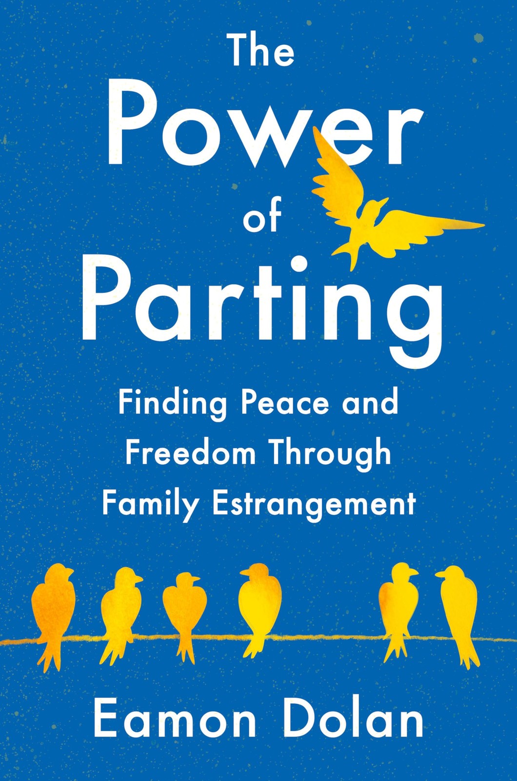 Eamon Dolan The Power of Parting (Copertina rigida)