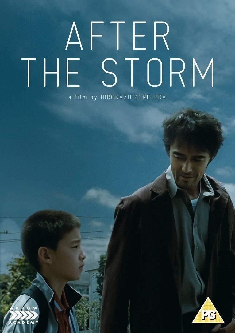 Dvd After The Storm [Edizione: Regno Unito]