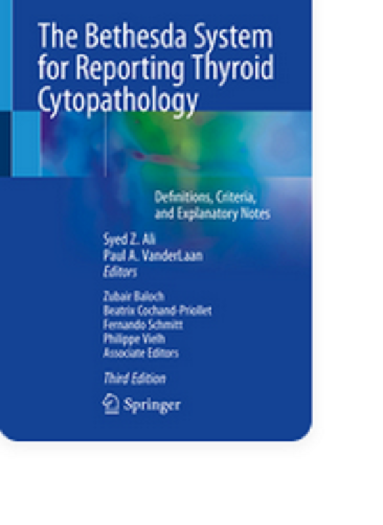The Bathesda Sistema Per Rapporti Tiroide Cytopathology Libro IN Brossura o813