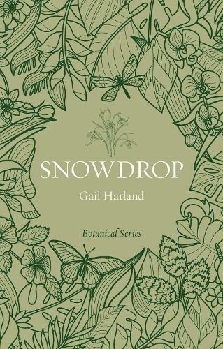 Gail Harland Snowdrop (Tascabile) Botanical