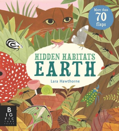 Hidden Habitats: Earth (Small Worlds) by Camilla de la Bedoyere
