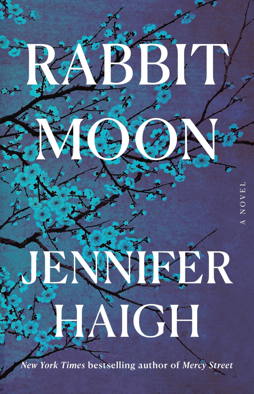 Jennifer Haigh Rabbit Moon (Copertina rigida)