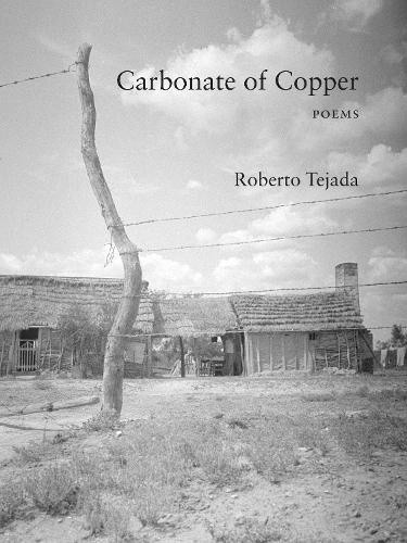 Carbonate of Copper by Roberto Tejada