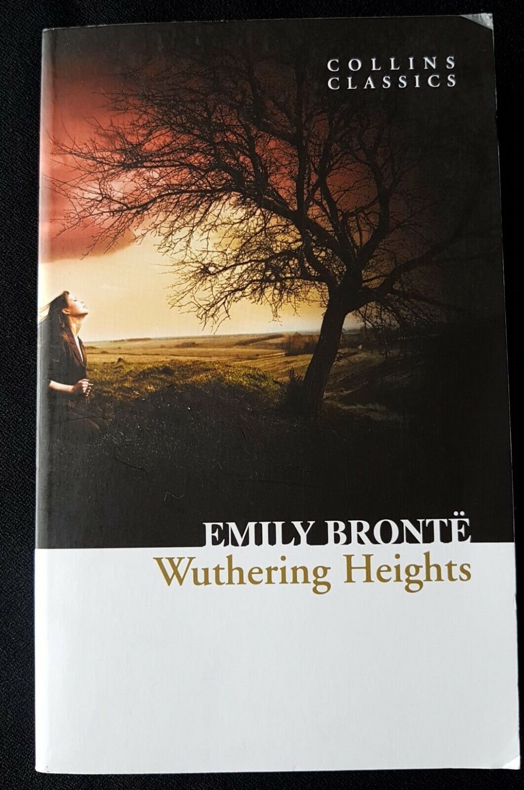 Wuthering heights - Brontë Emily