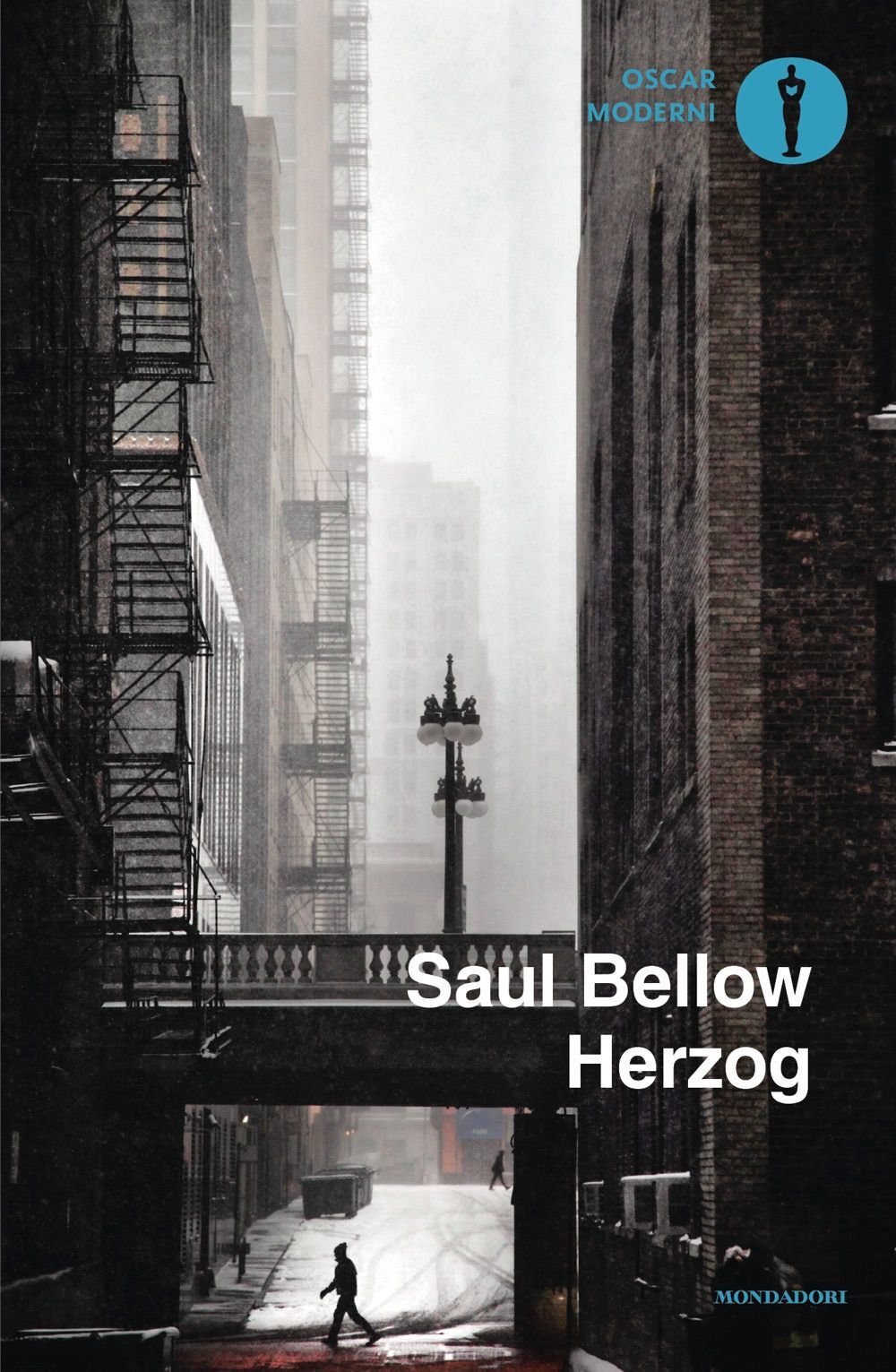 Libri Saul Bellow - Herzog