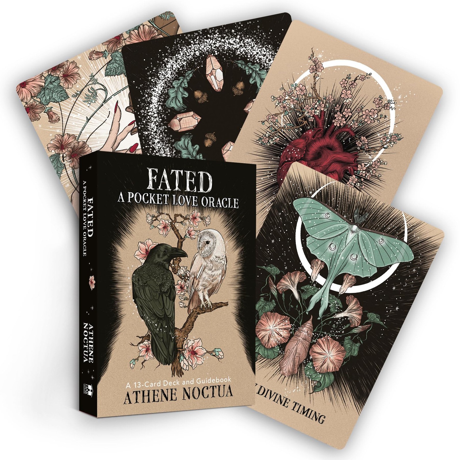 Athene Noctua Fated: A Pocket Love Oracle: A 13-Card Deck and Guidebook (Cards)