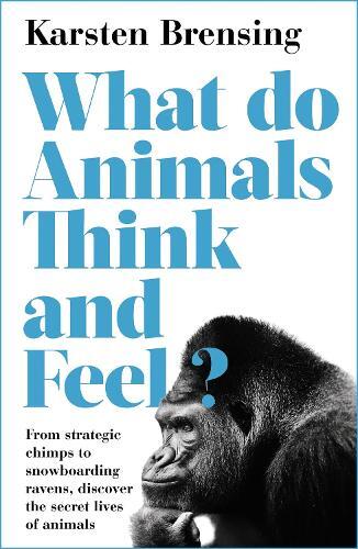 Karsten Brensing What Do Animals Think and Feel? (Tascabile)