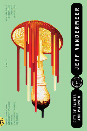 City of Saints and Madmen (Ambergris Trilogy) by Jeff VanderMeer