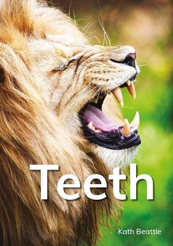 Kath Beattie Teeth (Tascabile) Red Squirrel Reading Road 2