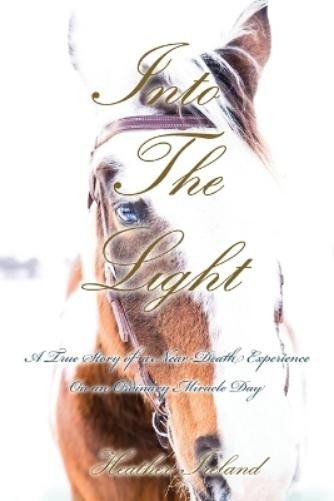 Heather Ireland Into The Light (Tascabile)