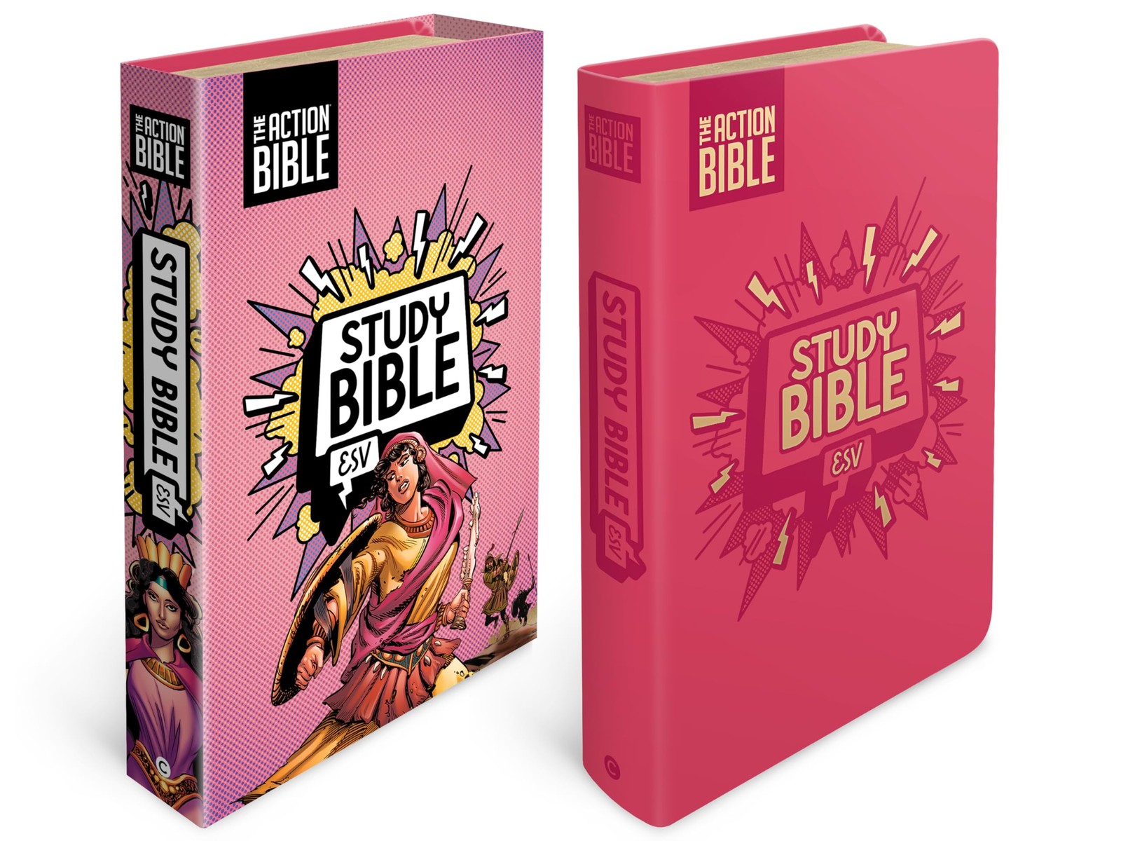 Sergio Cariello David C Cook David Cook AB STUDY BIBLE ESV PINK (Tascabile)
