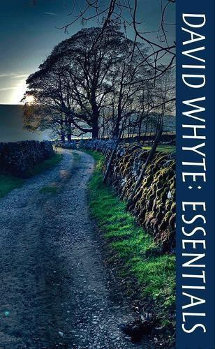 David Whyte David Whyte Essentials (Tascabile)
