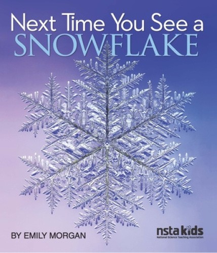 Next Time You See a Snowflake by Emily Morgan