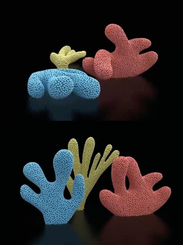 After Nature. Cacti, Corals and Leaves by Claudia Comte