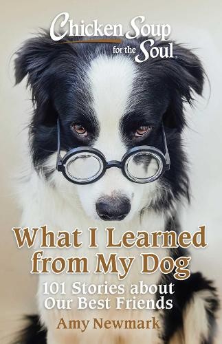 Amy Newmark Chicken Soup for the Soul: What I L (Tascabile) (PRESALE 22/05/2025)