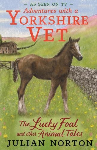 Julian Norton Adventures with a Yorkshire Vet:  (Tascabile) (PRESALE 05/06/2025)